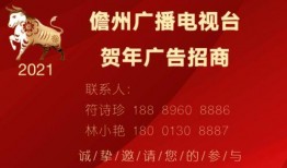 海南儋州电视台爆料视频,揭秘儋州最新动态