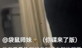 前阿里女高管爆料视频大全,揭秘互联网行业潜规则与真实内幕