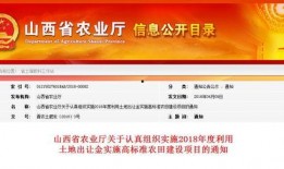 临汾爆料最新公告消息网,重磅政策来袭，影响你我生活！”