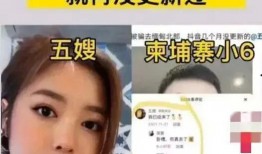 五嫂被害爆料视频播放,真相究竟如何？